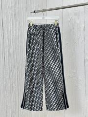 Dior S-L wdtr01