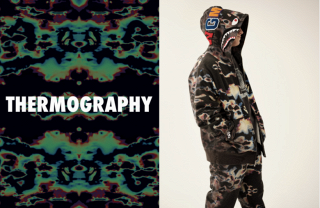 Bape M-3XL 8912