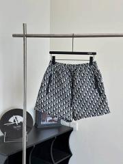 Dior S-L wdtr01