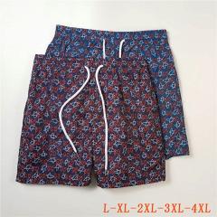 Gucci L-4XL 25h