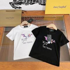 Arcteryx sz100-160 12