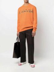 Lanvin Sweater s-xxl fot01
